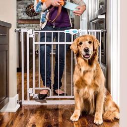 Carlson Grind Handsfree Dog Gate i Vit 81 cm hög