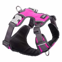 Red Dingo Polstrad Hundsele Pink