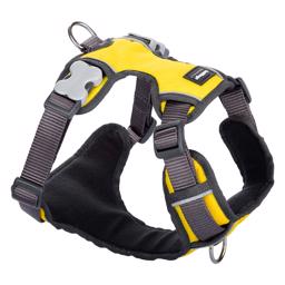 Red Dingo Polstrad Hundsele Gul