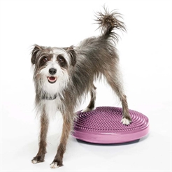 FitPaws K9 Balance Disc Träning För Hund Ø46 cm Razzleberry