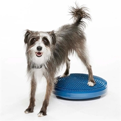 FitPaws K9 Balance Disc Träning För Hund Ø46 cm Blue