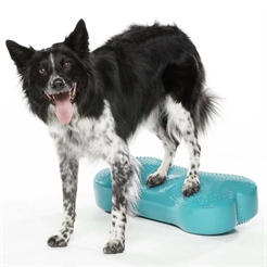 FitPaws K9 Fitbone Balans Träning För Hund Aqua
