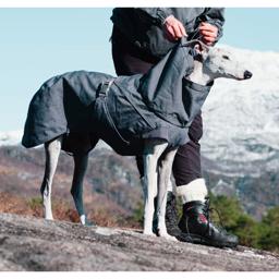 Hurtta Expedition Parka Varm Hundjacka Design Blackberry