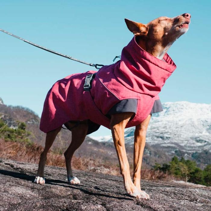 Hurtta Expedition Parka Varm Hundjacka Design Beetroot