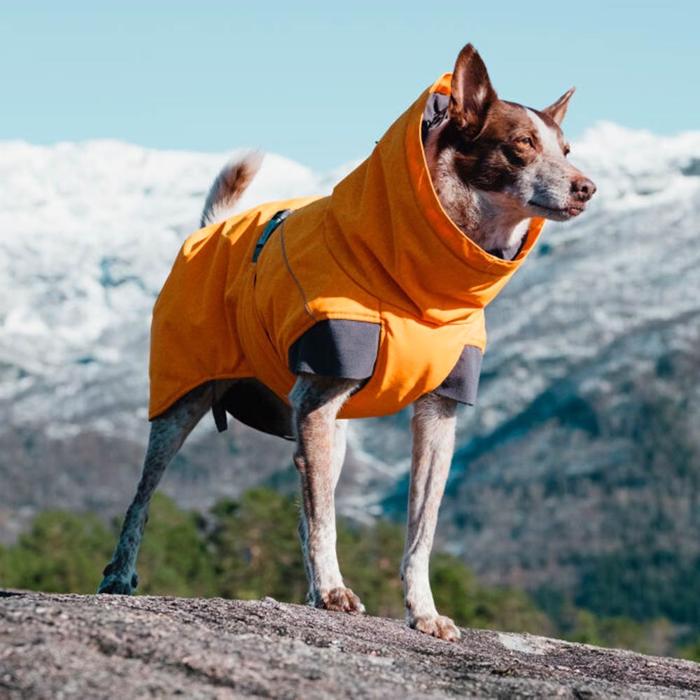 Hurtta Expedition Parka Varm Hundjacka Design Buckthorn