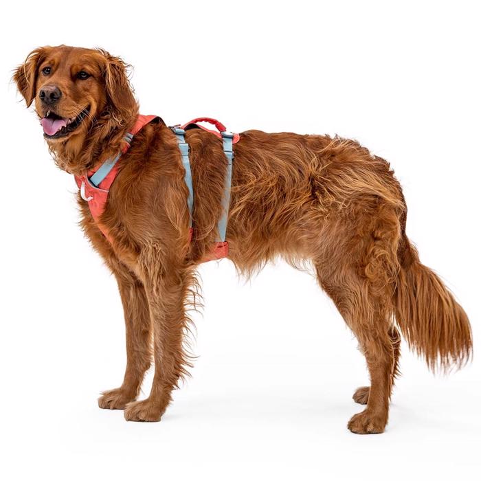 Ruffwear Flagline Hundsele Laxrosa