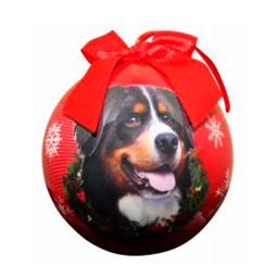 Julprydnad Julboll med Berner Sennenhund på röd boll