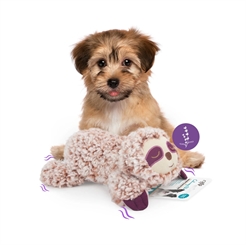 All For Paws Calming Pals Lavendel Doft Möt Sengångaren Skipper