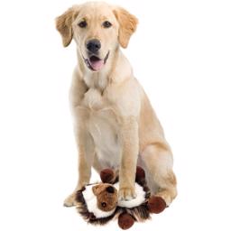 All For Paws Naturtrogen Igelkott Möt Omer