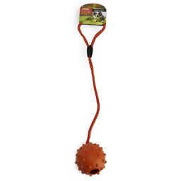 Active Canis Boll med Röd Snöre & Röd Boll