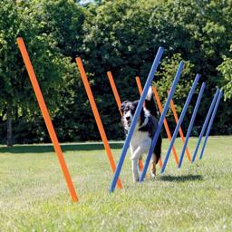 Trixie Agility Slalom Sticks i Plast 12 st