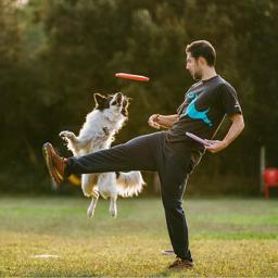 allt för tassar utomhus anti-bett frisbee för hundlek