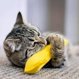 BAM Catnip Banana Rolig Kattleksak Med Kattmynta