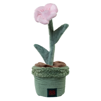 B&B PawTanic Garden Blomma Hundeleksak & Snuffelmatta 2i1