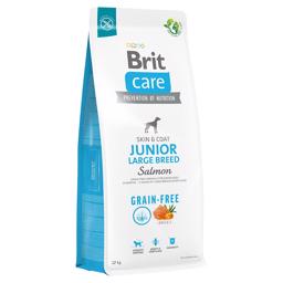 BRIT Care Hundfoder Grain Free JUNIOR Large Breed med Lax 12kg