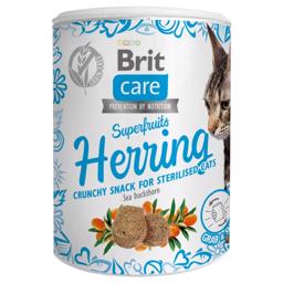 Brit Care Snack For The Cat Superfruits Sill 100gr