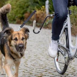 Biker Set De Luxe Distance Hold för cykelturen med din hund L/XL