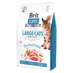 Brit Care Kattfoder för stora vuxna katter Large Cats Power & Vitality