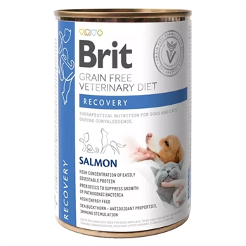 Brit Grain Free Veterinary Diet Gastrointestinal Low Fat 400g
