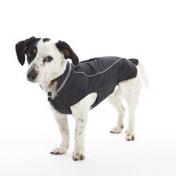 Hundkläder Buster Outdoor Rain Jacket BlackBerry