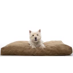 Buster Memory Foam Hundsäng Vacker kamel