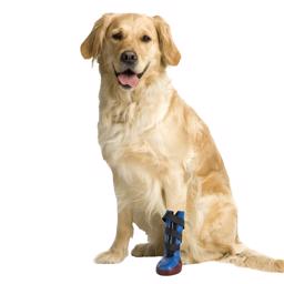 Buster Dog Boot Hundstövel Med Gummisula