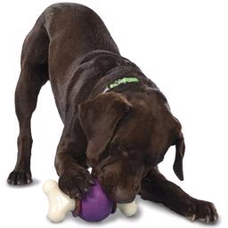 Upptagen Buddy Bouncy Bone Aktiveringsleksaker för hund