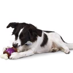 Upptagen Buddy Bouncy Bone Aktiveringsleksaker för hund