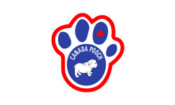 Kanada Pooch