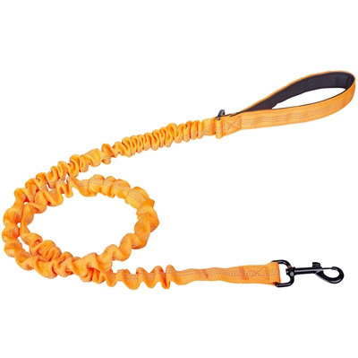 Companion Elastiskt Hundkoppel