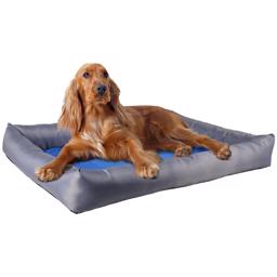 Flamingo Kylbädd Fresk Blå Grå Kyler Hunden I Den Varma Tiden