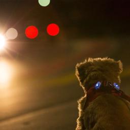 Hund ficklampa för mörkret