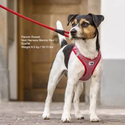 Curli Hundsele Merino Ull Air-Mesh Röd Mix