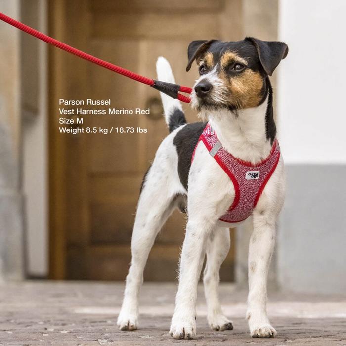 Curli Hundsele Merino Ull Air-Mesh Röd Mix