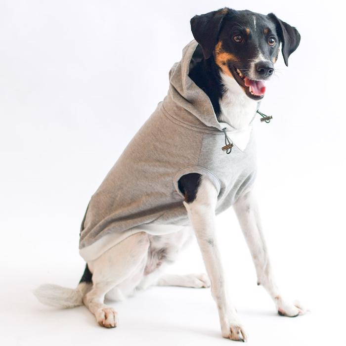 DGS Chill Kuzzi Biobliss Calming Hoodie For Dogs GRÅ