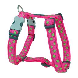 Red Dingo Classic Hundsele Pink Green Star