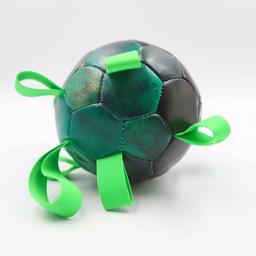 Hundkometer Hypernovaboll för träning & lek grön