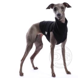 DogGear Extra Warm Underwear Short Clothes For Greyhounds Black