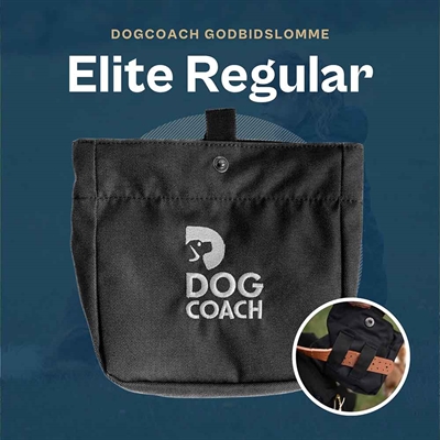 DogCoach Godisficka Elite Regular Black Guinness
