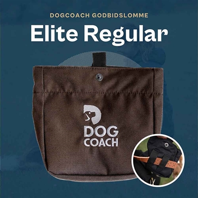 DogCoach Godisficka Elite Regular Bison Natz