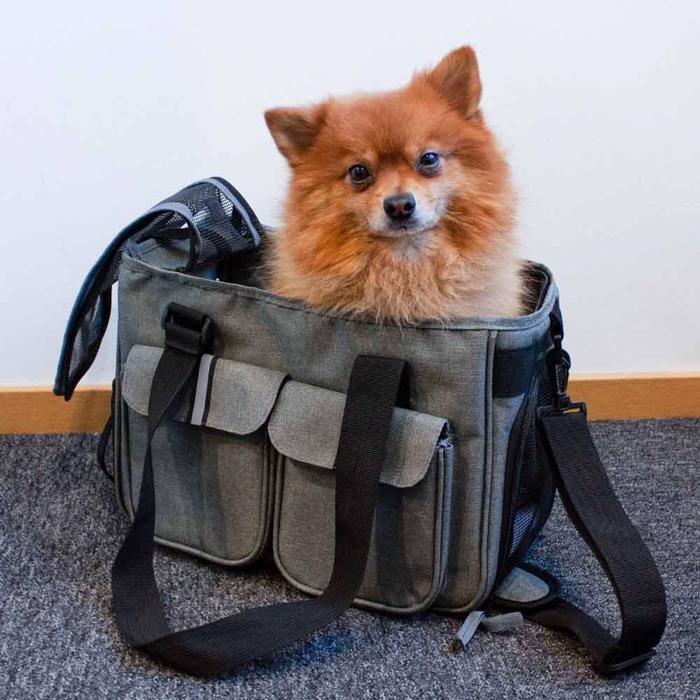 Dogman Bärväska För Hunden Design Ludde Gråmelerad Svart Max 4,5 Kg