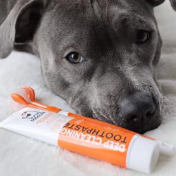 Dogslift hundtandkräm med naturliga ingredienser