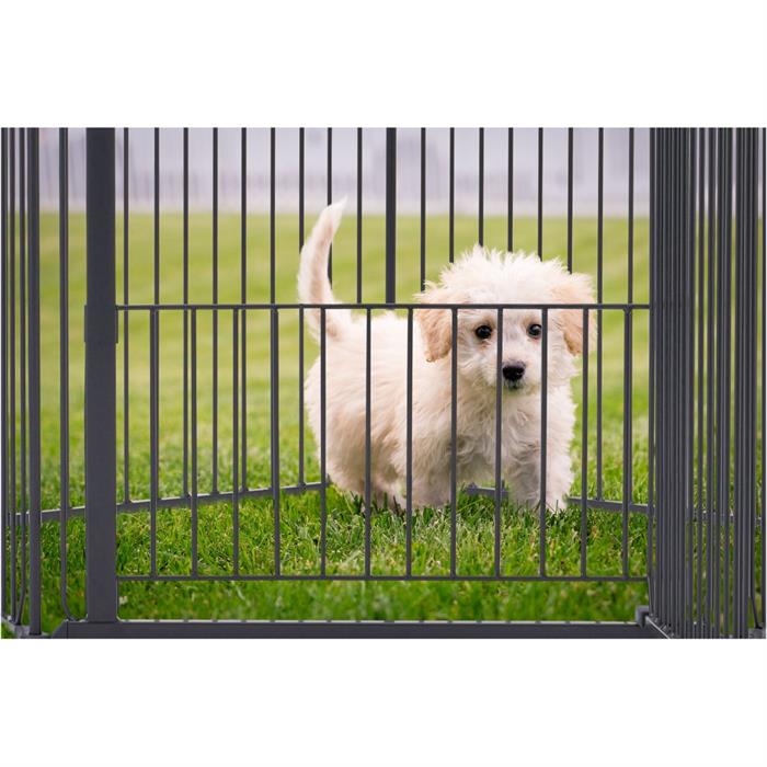 DogSpace King Mommy + Supreme Puppy Stay Valphage & Grind För Hund