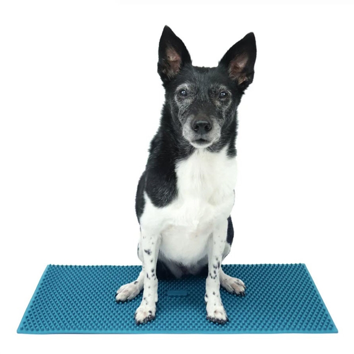 Fitpaws K9 Fitmat Träningsmatta 60 x 30 Cm