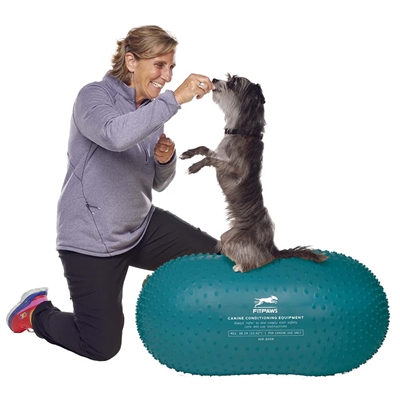FitPaws Trax Peanut Balans- & Styrketräning för Hund BLÅGRÖN 60 cm