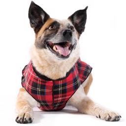GoldPaw Dog Fleece Stretch Pullover Röd Pläd Tartan