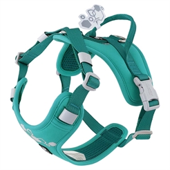 Hurtta Weekend Warrior 2.0 ECO Hundsele Peacock Mint