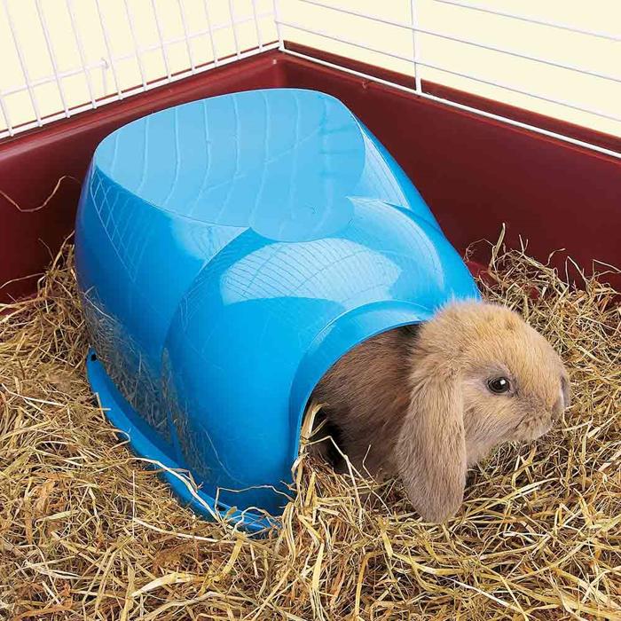 Cocoon Hide to Dwarf Rabits in Blue