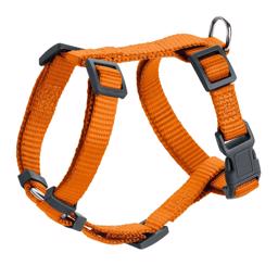 Hunter London hundsele Orange