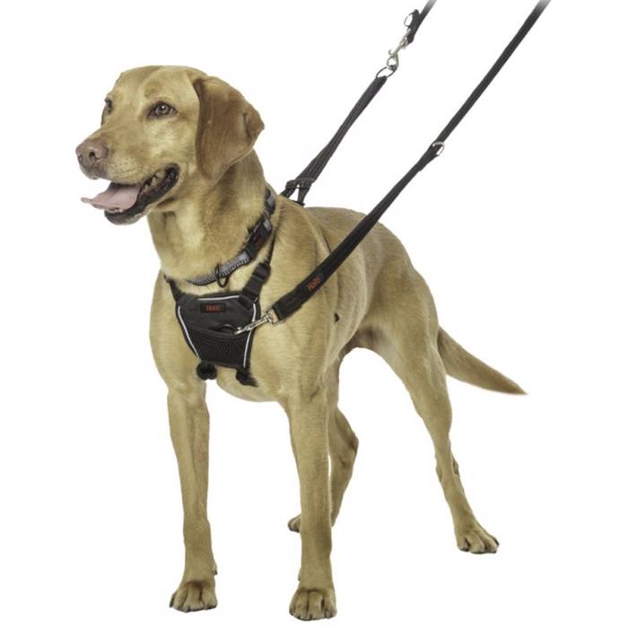 Halti No Pull Anti Drag Tränings Hundsele
